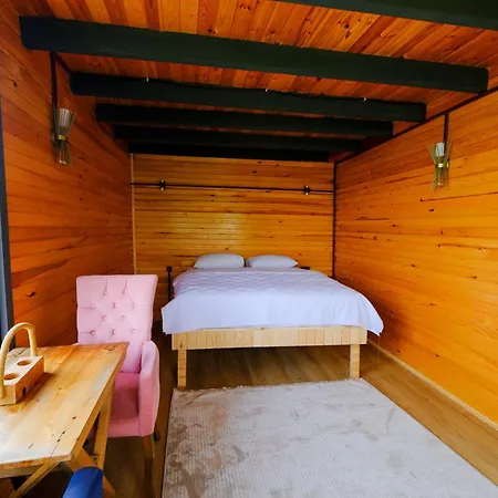 Bungalow Green Love